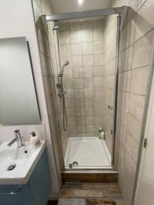a bathroom with a shower and a tub and a sink at A2G Nancy Thermal ARTEM in Nancy