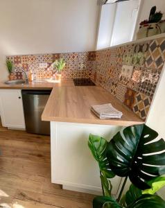 a kitchen with a wooden counter top and a plant at A2G Nancy Thermal ARTEM in Nancy