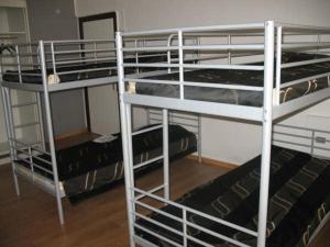 two bunk beds in a dorm room with at Logies Lucullus in Blankenberge