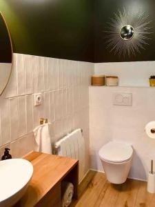een badkamer met een wit toilet en een wastafel bij Appartement Proche Hôpital La Tronche in La Tronche +7 foto's
