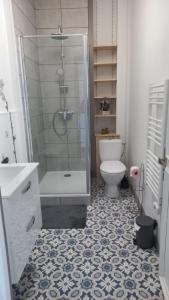 uma casa de banho com um chuveiro e um WC. em STUDIOS ET APPARTEMENTS EN CENTRE VILLE Boulogne sur mer em Boulogne-sur-Mer