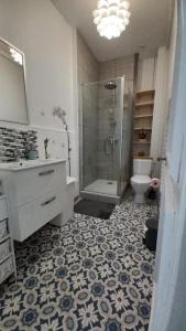 W łazience znajduje się prysznic, umywalka i toaleta. w obiekcie STUDIOS ET APPARTEMENTS EN CENTRE VILLE Boulogne sur mer w mieście Boulogne-sur-Mer