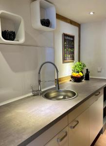 a kitchen counter with a sink and a bowl of fruit at Die Altstadt Appartements Caprice in Goslar