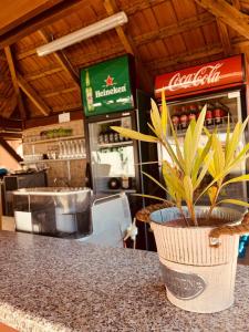Fotografie z fotogalerie ubytování Tóparti Camping v destinaci Tiszafüred