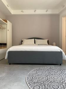 切塞納的住宿－Casimiro Home，一间卧室配有一张带地毯的大床