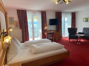 TV a/nebo společenská místnost v ubytování Seehotel Schäpfle
