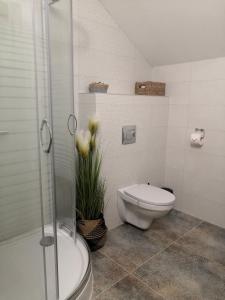 een badkamer met een toilet en een glazen douche bij PENZION BAŠKA VODA CZ in Baška