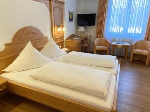 TV a/nebo společenská místnost v ubytování Seehotel Schäpfle