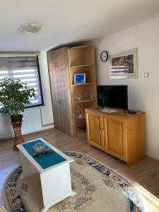 a living room with a tv and a coffee table at Mićin dom in Pirot