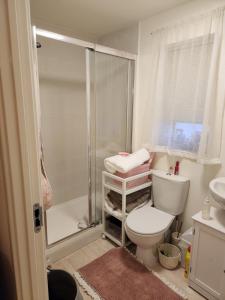 a bathroom with a toilet and a shower and a sink at Rehoboth in Yew Gardens in Doncaster