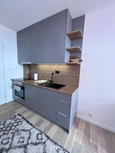 Cucina o angolo cottura di Srebrna Lisica 98 - Cosy studio appartment, near the ski track