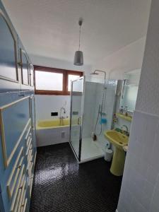 a bathroom with a shower and a sink and a toilet at Au Beau Voyage à 2 pas des Thermes in Thonon-les-Bains