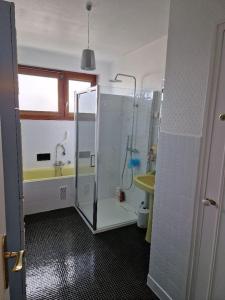 uma casa de banho com um chuveiro, um lavatório e um espelho. em Au Beau Voyage à 2 pas des Thermes em Thonon-les-Bains