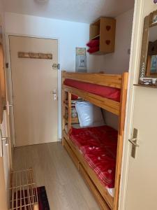 Pokój z 2 łóżkami piętrowymi i drzwiami w obiekcie STUDIO Aux 2 ALPES w mieście Vénosc