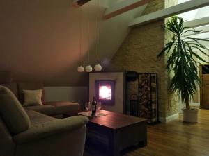 a living room with a couch and a fireplace at Ostorfer See in Schwerin