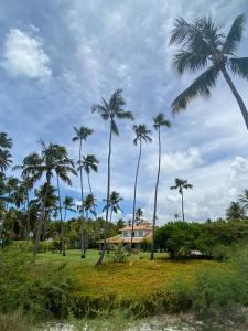 a group of palm trees in front of a house at Casa Brasileira - Hotel Galeria in Pôrto de Pedras