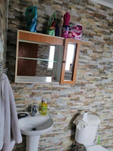 een badkamer met een wastafel en een spiegel bij Hospedaje familiar johana in Puerto Montt