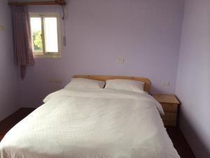 Postel nebo postele na pokoji v ubytování Dragon House B&B