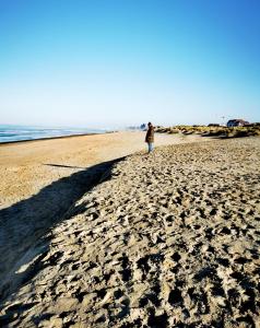 a person standing on a beach with a kite at HHVDK aan zee in Oostduinkerke