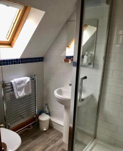 a bathroom with a sink and a toilet and a shower at Little Glebe in Sherborne