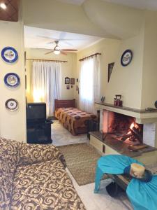 a living room with a couch and a fireplace at Valenthia in Agios Ioannis Pelio