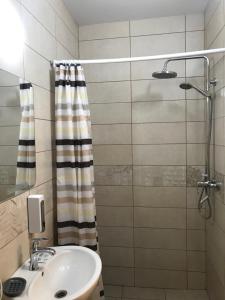 a bathroom with a sink and a shower at SzaboFFcsik in Uzhhorod