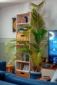 a room with a book shelf with two palm trees at PALM Springs Bed & Breakfast in Limbe