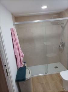 サン・フェルナンドにあるPrecioso Apartamento en San Fernandoのバスルーム(ガラス張りのシャワー、トイレ付)