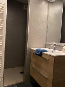 a bathroom with a sink and a shower with a mirror at Le Chalet Carpe Diem in Le Bourg-dʼOisans