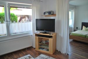 sala de estar con TV de pantalla plana en un soporte en FeWo Walburga, en Roßbach