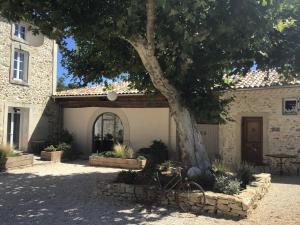 una bicicleta estacionada bajo un árbol delante de un edificio en Domaine Chamarel, en Saint-Paulet-de-Caisson