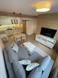 a living room with a gray couch and a table at APARTAMENTY GUZIK 22 in Krosno