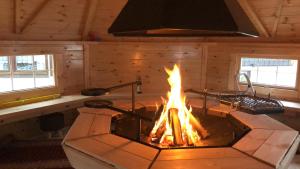 a fire pit in a cabin with a stove at Haus Monica in Bodenmais