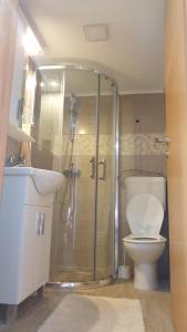 een badkamer met een douche, een toilet en een wastafel bij KUĆA ZA ODMOR RAVANČIĆ in Prozor