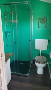 a green bathroom with a toilet and a shower at dutchduochalet2 in Heenweg