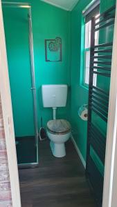 a green bathroom with a toilet and a shower at dutchduochalet2 in Heenweg