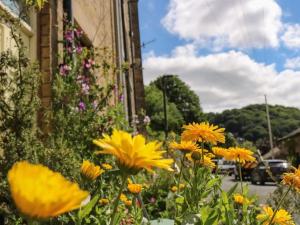 un montón de flores amarillas delante de un edificio en "Happy Valley Boutique Accomodation" Hotel Quality, Offering Free Parking, en Hebden Bridge