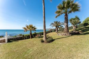 un parque con palmeras y el océano al fondo en Oasis la Cala en Mijas