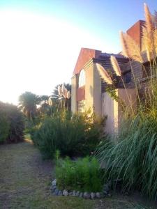 una casa con plantas delante de un patio en Morada de encuentro en Capilla del Monte