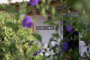 Zahrada ubytování Finca Sueño de Vida