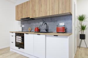Kuchyňa alebo kuchynka v ubytovaní Luxury Apartments STUD - VB