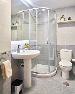een badkamer met een douche, een wastafel en een toilet bij El Sueño de San Cristóbal in San Cristóbal de la Cuesta