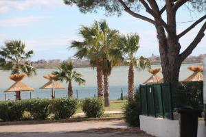 una vista del agua con palmeras y sombrillas en mobil home au lac des rêves en Lattes