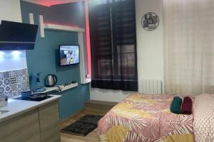 a bedroom with a bed and a sink and a tv at Charmant studio de 25m², Douai in Douai