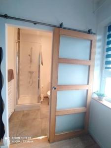ein Bad mit einer Dusche und einer Schiebetür in der Unterkunft Appartement calme in La Montagne