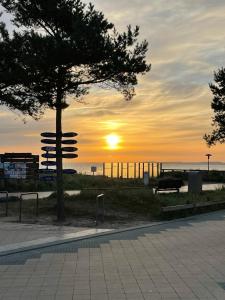 a tree in a park with the sunset in the background at Möwennest 13 Scharbeutz in Scharbeutz