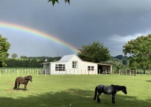 dos caballos parados en un campo con un arco iris en el fondo en Cliff Top Cottage 