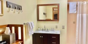 a bathroom with a sink and a mirror at Hawk Valley Retreat & Cottages in Galena