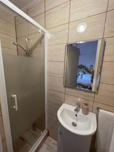 a bathroom with a sink and a shower and a mirror at Negrean Residence in Oradea