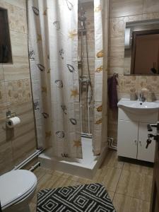 a bathroom with a shower and a toilet and a sink at Căsuțe Zăvoi Bulz in Bulz